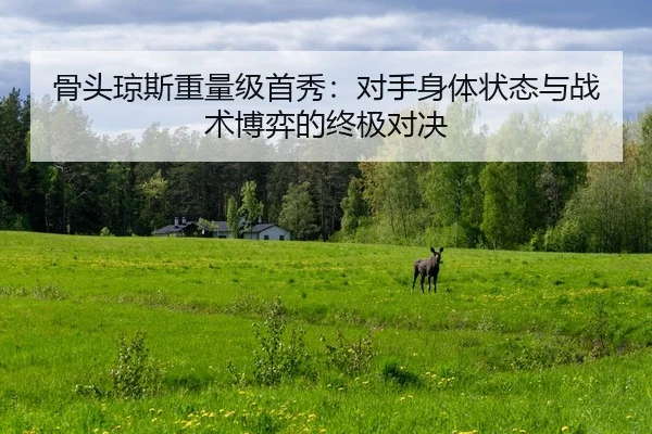 gu-tou-qiong-si-zhong-liang-ji-shou-xiu-dui-shou-shen-ti-zhuang-tai-yu-zhan-shu-bo-yi-de-zhong-ji-dui-jue-2-697.jpg