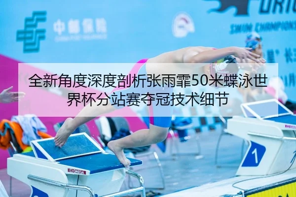 quan-xin-jiao-du-shen-du-pou-xi-zhang-yu-fei-mi-die-yong-shi-jie-bei-fen-zhan-sai-duo-guan-ji-shu-xi-jie-2-328.jpg