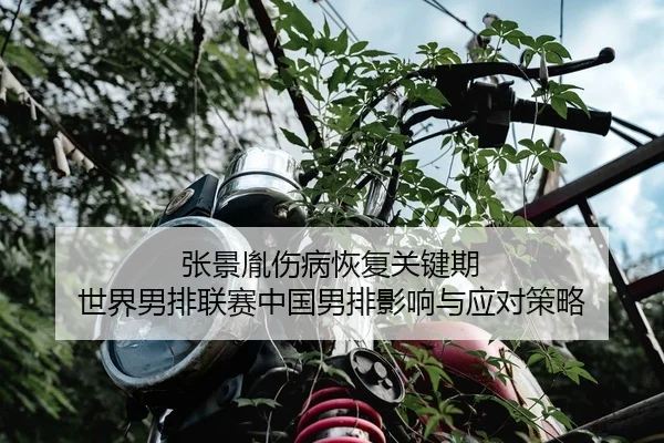 张景胤伤病恢复关键期 世界男排联赛中国男排影响与应对策略